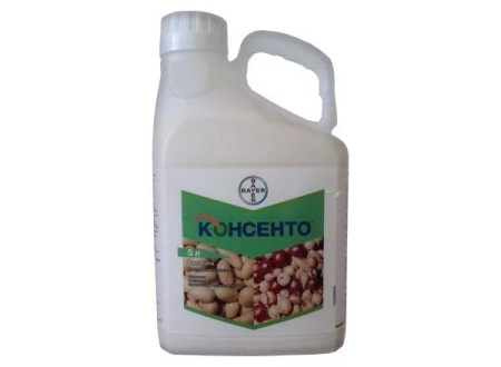 КОНСЕНТО   20мл. (фасовка)